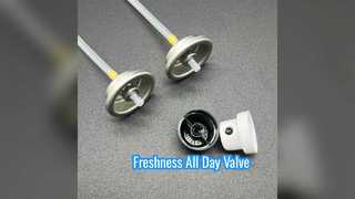 लंबे समय तक चलने वाला डिओडोरेंट स्प्रे वाल्व