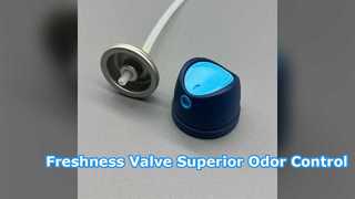 बॉडी स्प्रे वाल्व स्थायी ताजगी