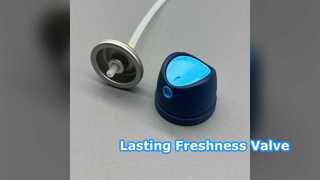 बॉडी स्प्रे वाल्व स्थायी ताजगी