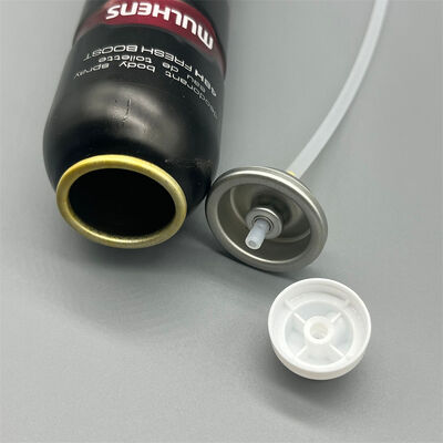 खरीदें बॉडी स्प्रे एरोसोल वाल्व प्रीमियम स्प्रे वाल्व बारीक धुंध वितरण के लिए डिज़ाइन किया गया है ऑनलाइन निर्माण