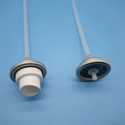 खरीदें High-Precision One Inch Facial Water Spray Valve with Ultra-Fine Mist for Skincare Hydration ऑनलाइन निर्माण