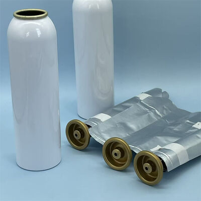 पेशेवर ग्रेड महिला बैग-ऑन-वॉल्व एयरोसोल सिस्टम