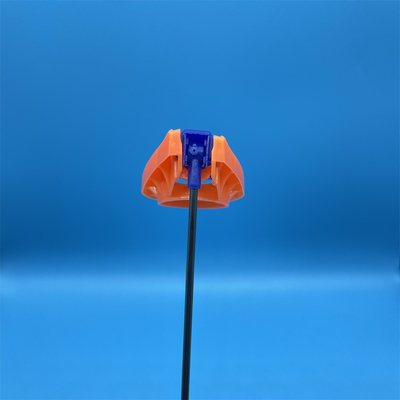 नाम